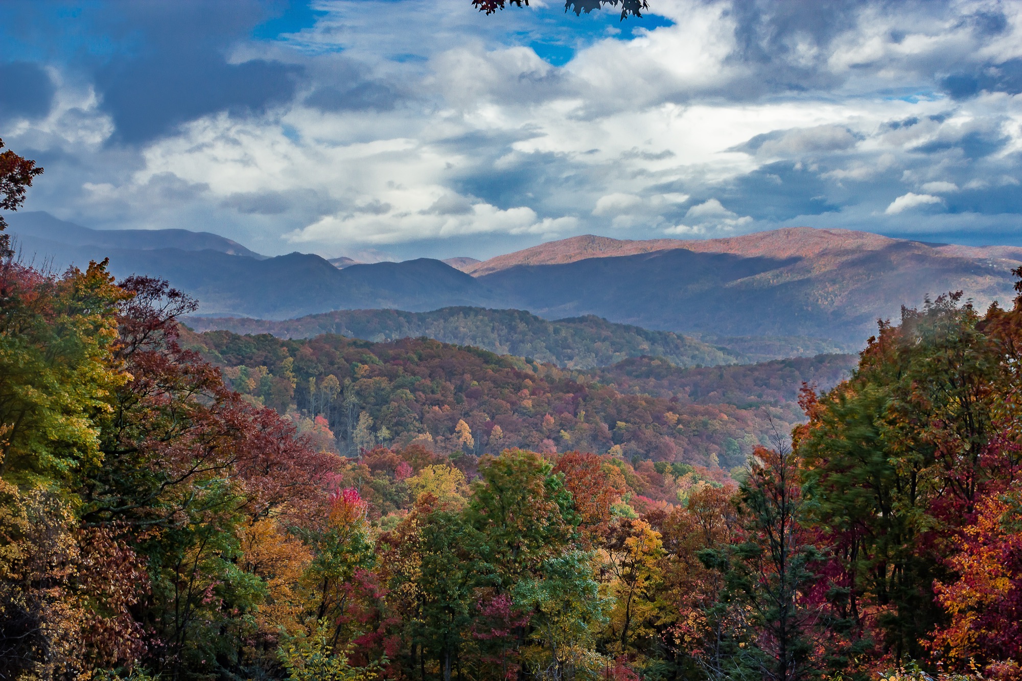 Fall foliage view of the Smoky Mountains from the Roaring Fork Motor Nature Trail